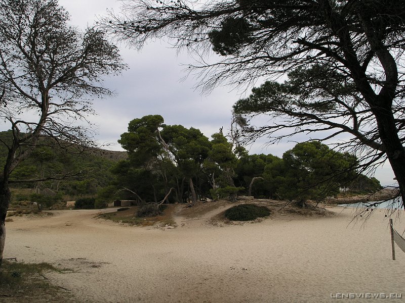 2006_11_21 14_08_28 OLYMPUS DIGITAL CAMERA         